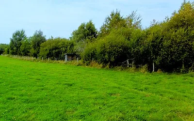 Brückborn/Kranzbruch
