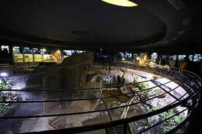 Aquarium tropical