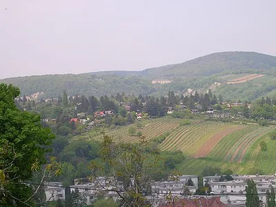Hackenberg