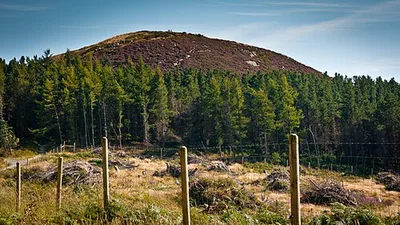 Carrickgollogan Hill