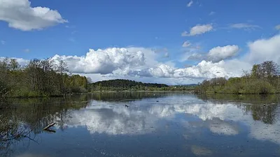 Østensjøvannet naturreservat