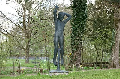 David