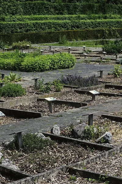 Tuin van Geneeskrachtige planten