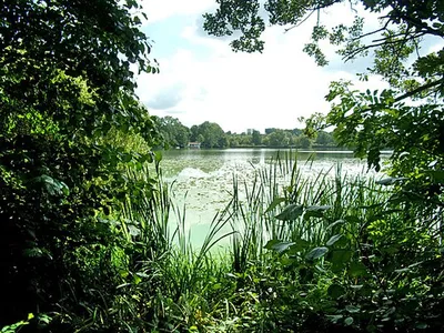 Harburger Stadtpark