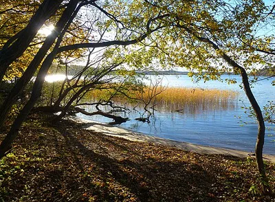 Sätraskogens naturreservat
