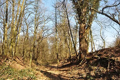 Schießplatz Dünnwald