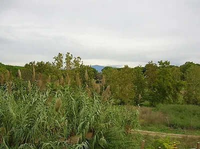 Parco regionale urbano di Aguzzano