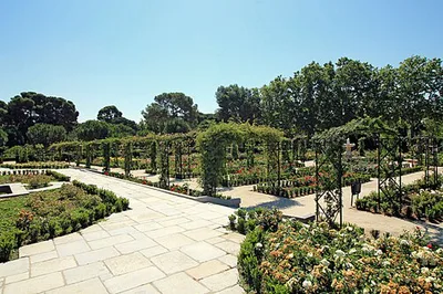 La Rosaleda