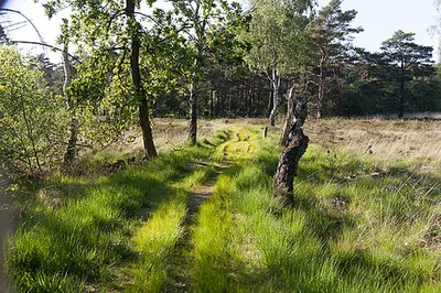 Schnaakenmoor