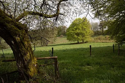 Mittleres Rurtal mit den Felsbildungen der Pferdsley und Wiselsley