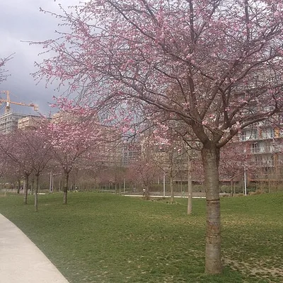 Parc Clichy-Batignolles Martin Luther King