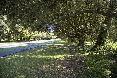 St Anne's Park