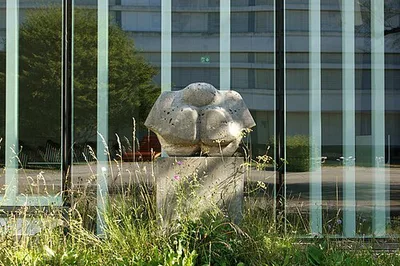 Venus