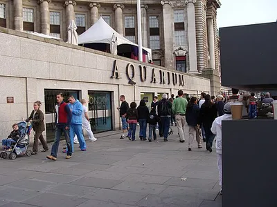 SEA LIFE Aquarium London