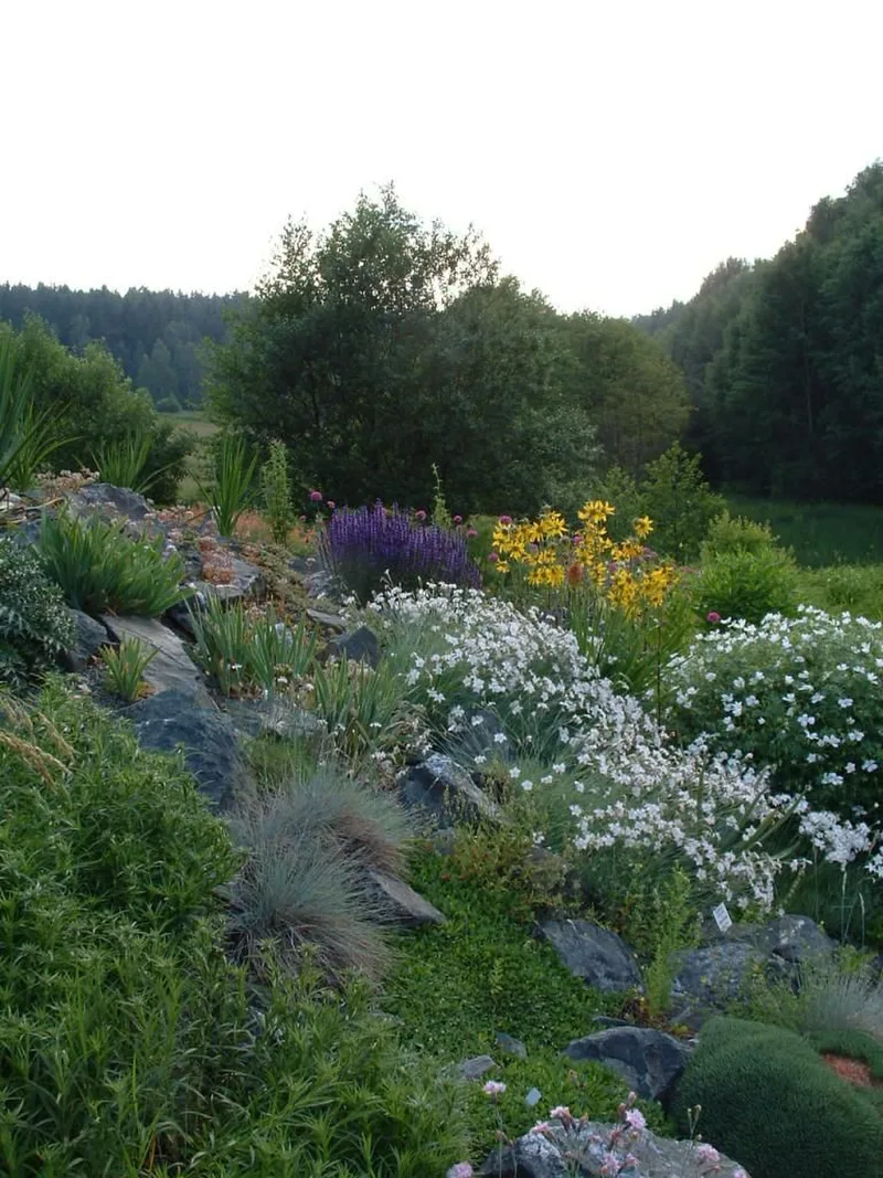 Kammweg Etappe 14 - Natur-Variante rund um Adorf
