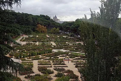 La Rosaleda