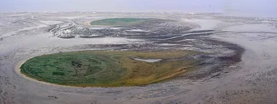 Nigehörn