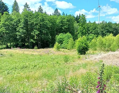 Riffelsbachtal