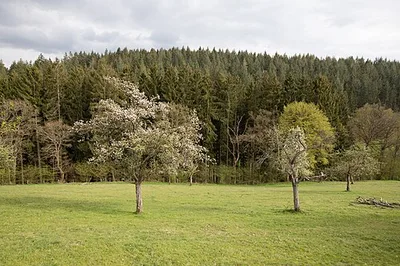 Kluckbachtal