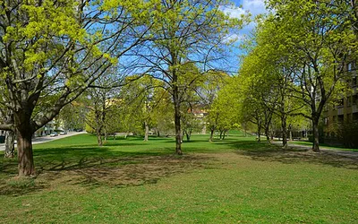 Tengdahlsparken