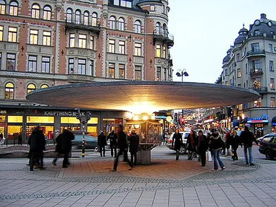 Svampen