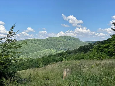 Hermannskogel