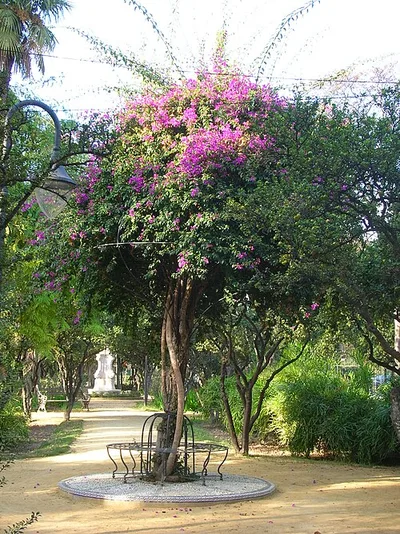 Jardin de las Delicias