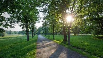 Lainzer Tiergarten
