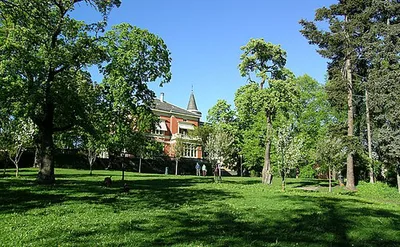 Langaardsløkken