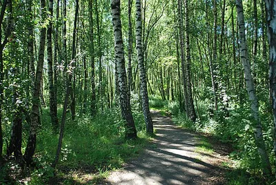 Alnaparken