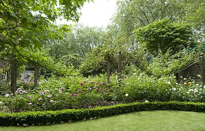 The Rose Garden