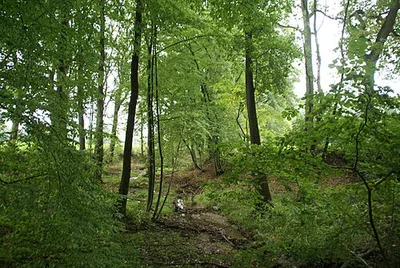Hainesch-Iland