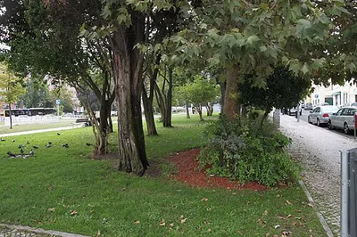 Jardim Irmã Lúcia