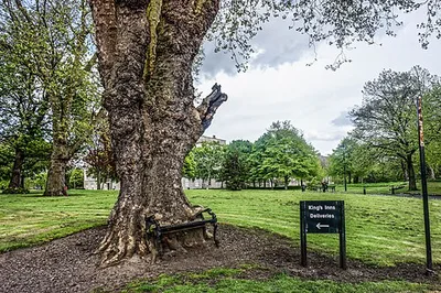 Hungry Tree
