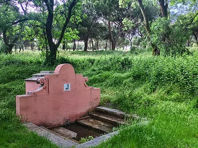 Fuente del Zarzón de Cádiz