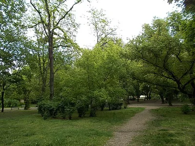 Haller park