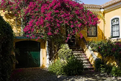 Casa do Galvão