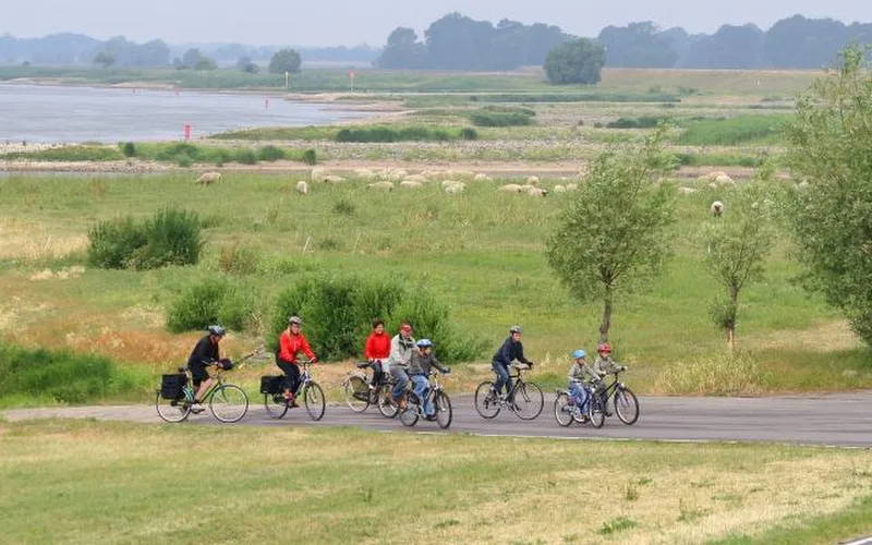 Elberadweg