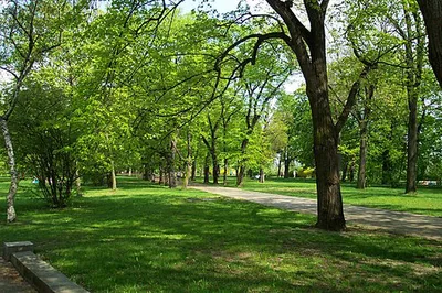 Letná