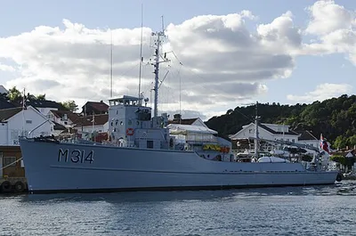 M314 Alta