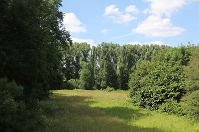 Langeler Auwald