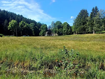 Feuerbach-Laufenbachtal