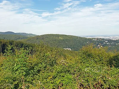 Schafberg