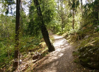 Judarskogen