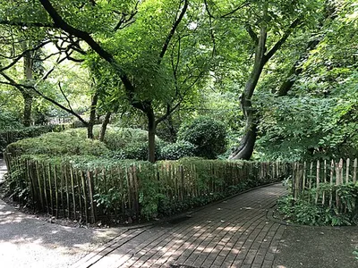Parc Tenbosch - Tenboschpark