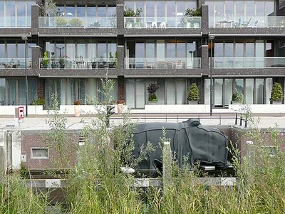 Nijlpaard