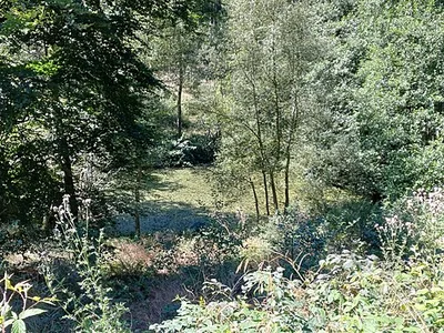 Holderbachtal/Dürholderbachtal