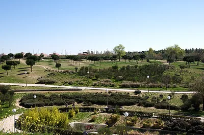 Parque Forestal de Valdebernardo