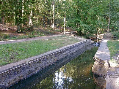 Königsforst