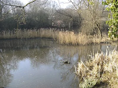Moeraske